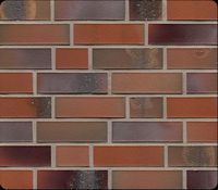 Клинкерная плитка Feldhaus Klinker, R580NF14 Salina Carmesi Colori в Курске