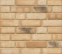 Клинкерная плитка Feldhaus Klinker, R766NF14 Vascu Sabioso Rotado