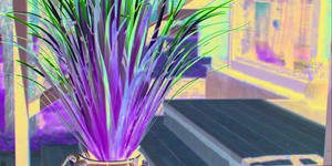 Террасная доска из ДПК Bamberg, Square, Brazilian Walnut31