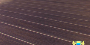 Террасная доска из ДПК Bamberg, Square, English Barnwood7