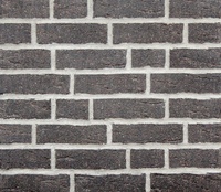 Клинкерная плитка Feldhaus Klinker, R693NF14 Sintra Vulcano