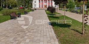 СГ ВЕНУСБЕРГЕР степь - 05