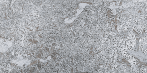 Сланец RKS SLATE Silver Grey Matrix Honed (7)