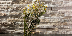 3D панели из натурального камня Кварцит Beige Quartz Classic от бренда  RKS SLATE (19)
