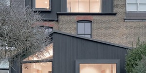 Реечная панель ДПК Turtle Shell, Middle Lines, Faroese Smokewood Co-Extrusion черные рейки для фасада (3)